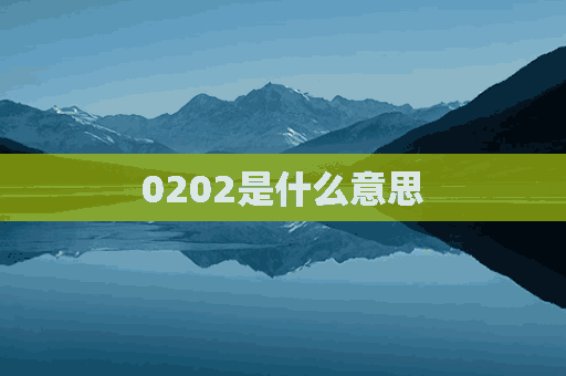 0202是什么意思